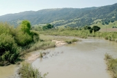 Salinas River